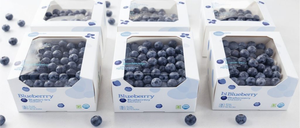 blueberry packaging boxes