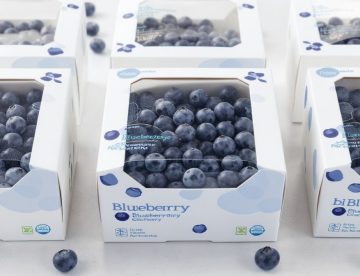 blueberry packaging boxes