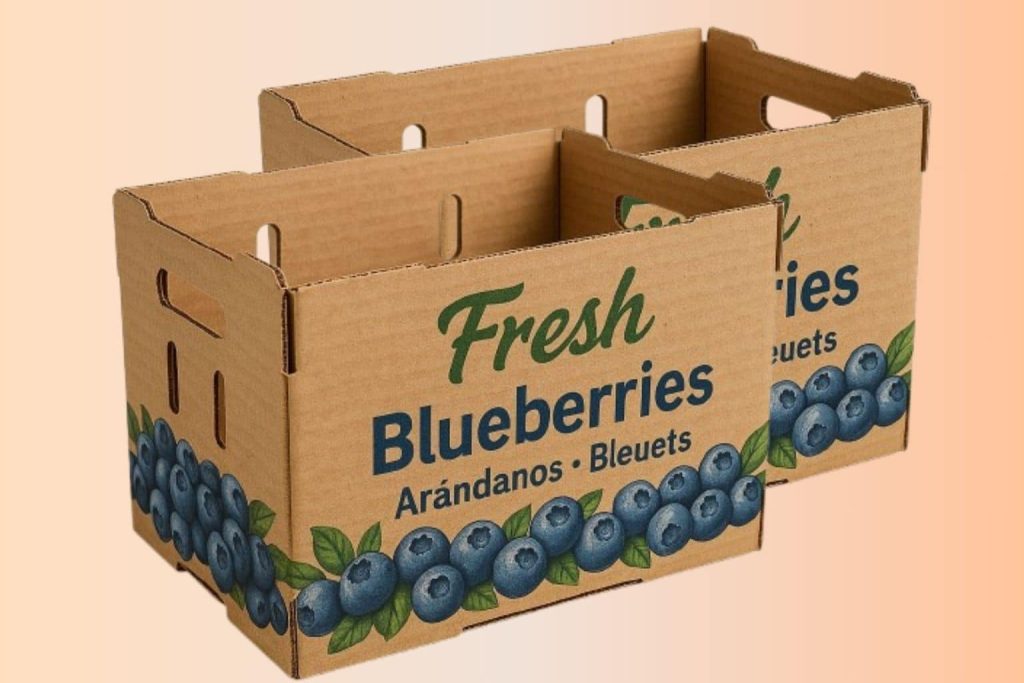 Benefits of Blueberry Packaging Boxes-min
