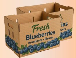 Benefits of Blueberry Packaging Boxes-min