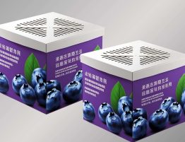 Corrugated Carton Boxes for Blueberry Packaging