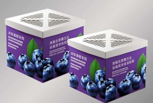 Corrugated Carton Boxes for Blueberry Packaging