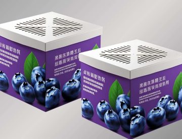 Corrugated Carton Boxes for Blueberry Packaging