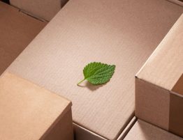 Cardboard Produce Boxes Are Better for the Environment