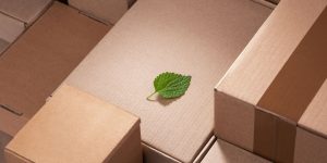Cardboard Produce Boxes Are Better for the Environment