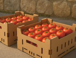 Tomato Box Supplier in Richmond
