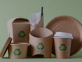 Reusable vs Disposable Food Packaging Boxes