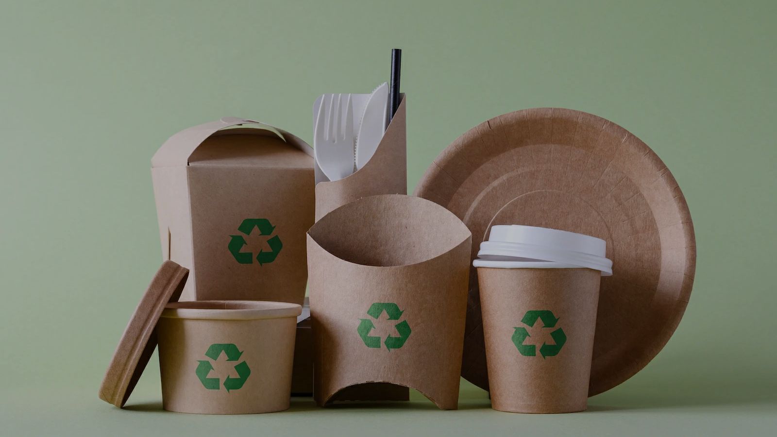 Reusable vs Disposable Food Packaging Boxes